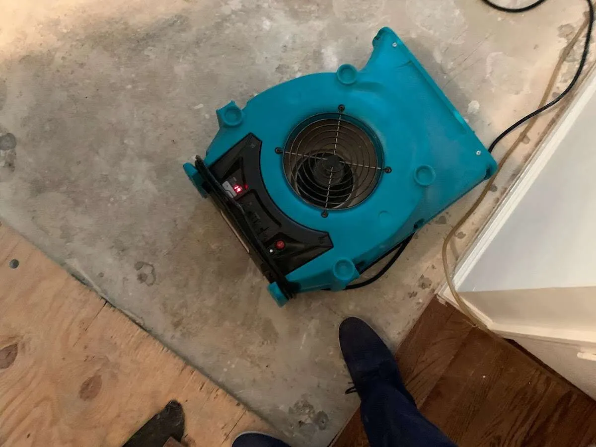 Air mover drying subfloor during Leak Detection & Repair in Jan Phyl Village